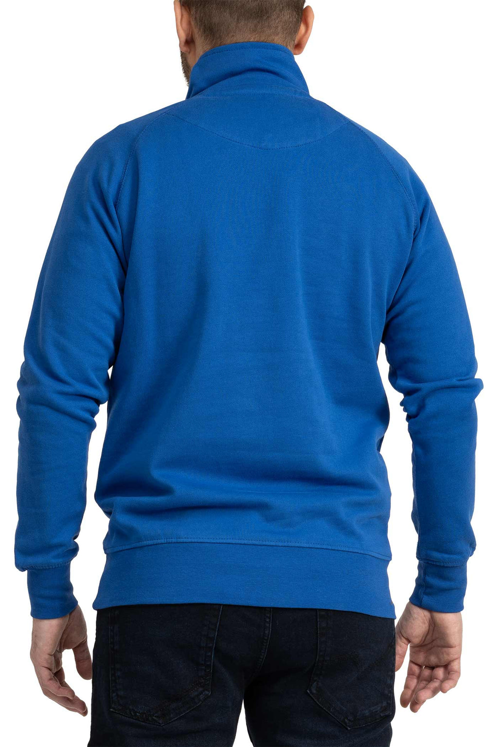 Herren Halfzip Pullover mit Stehkragen in Blau