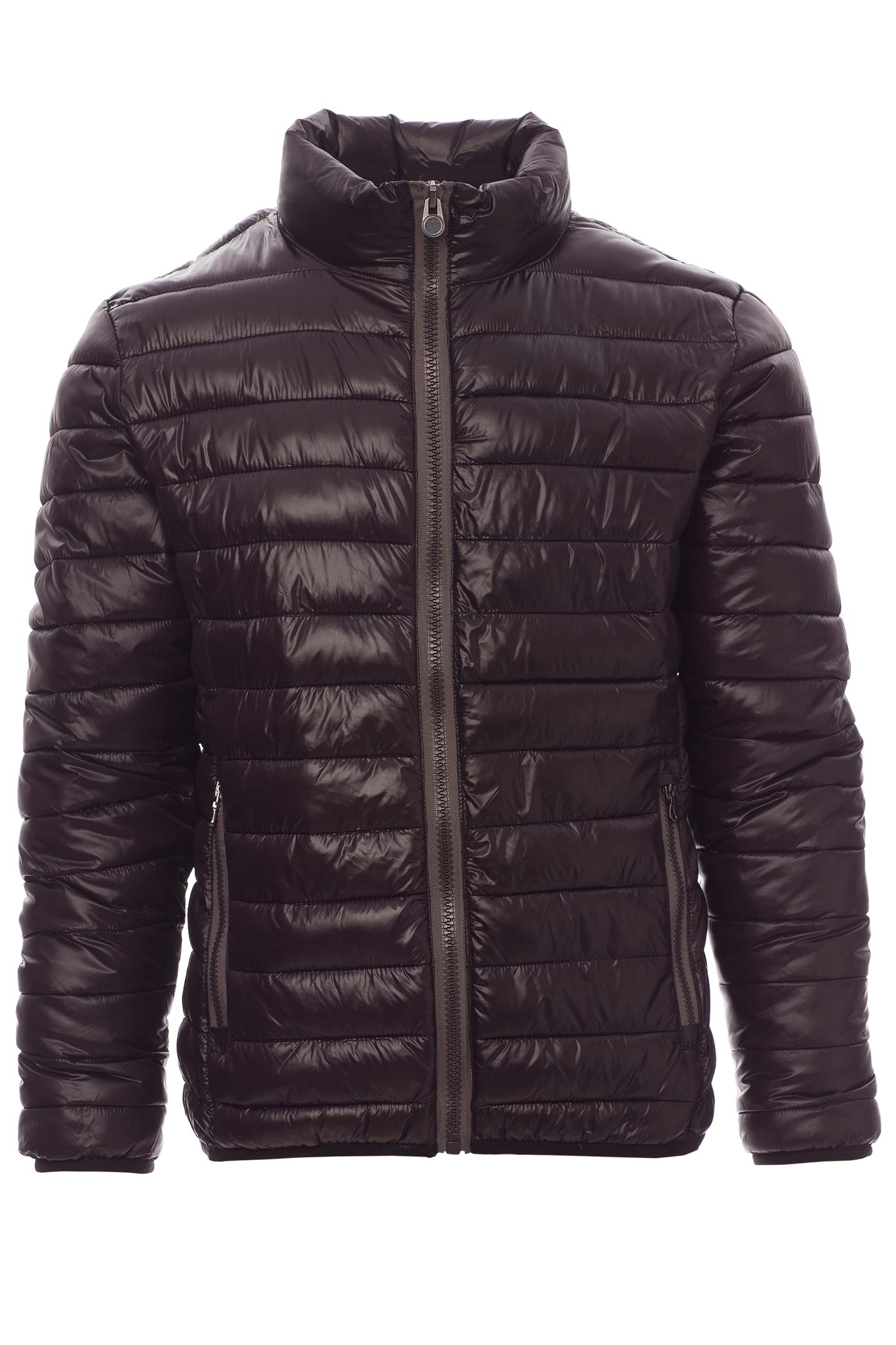 Herren Steppweste mit Stehkragen in Schwarz