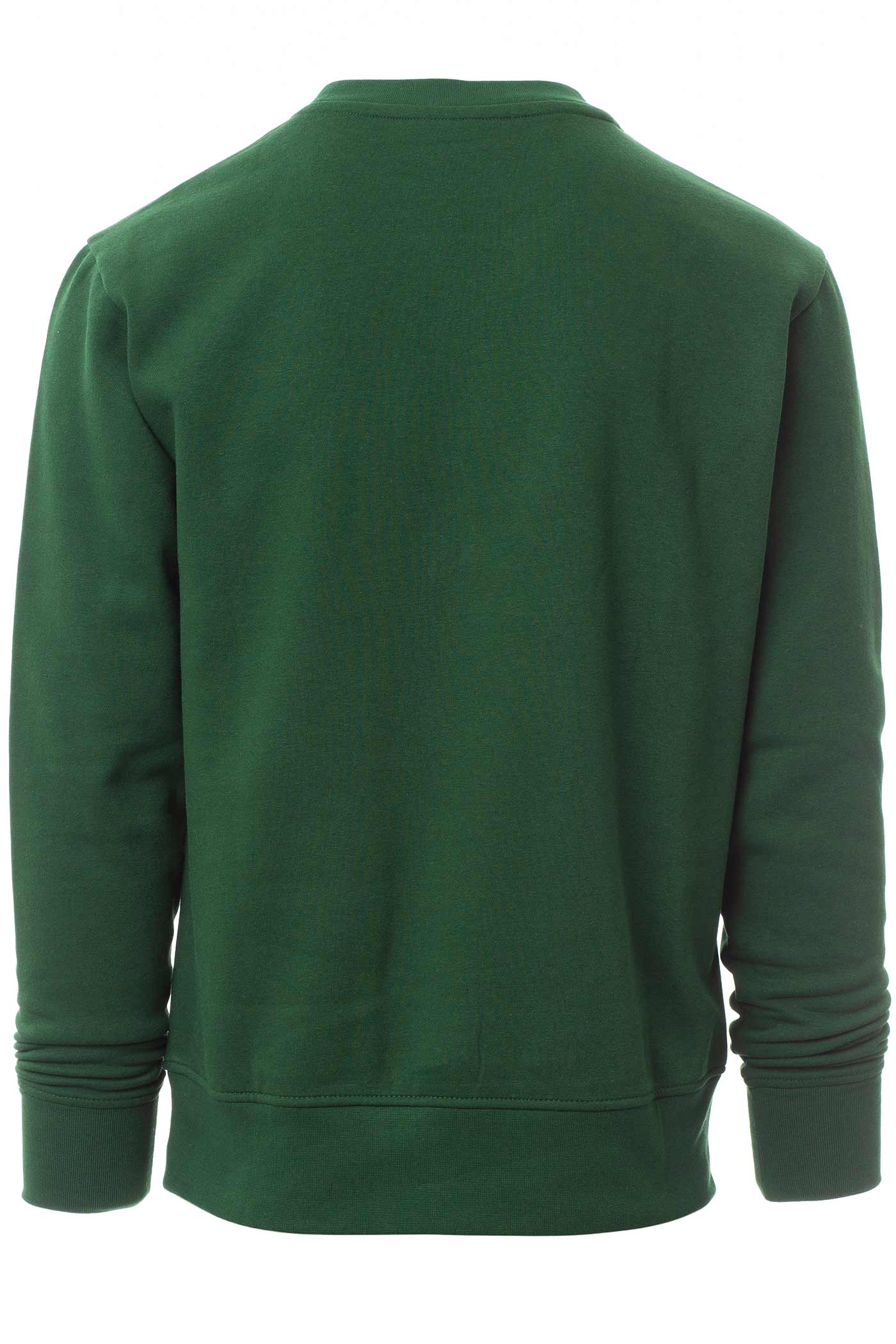 Herren Basic Sweatshirt in großen Größen in Grün