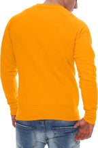 Herren Pullover aus Baumwollmischung Basic in Orange